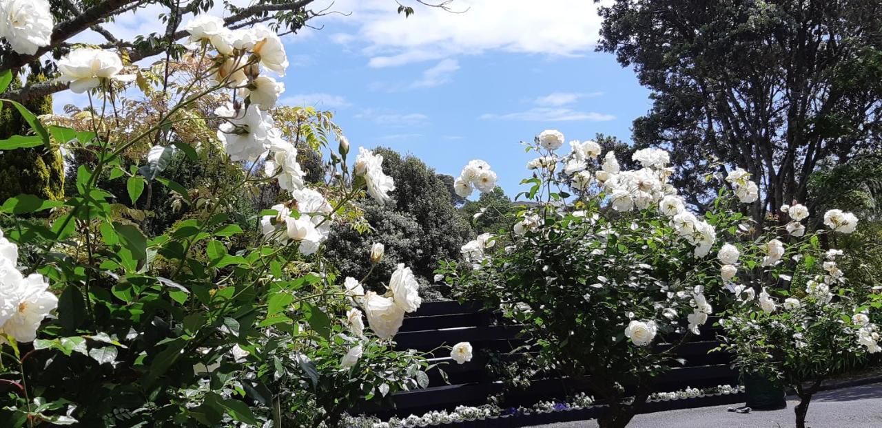 Sequoia Steps Bed & Breakfast New Plymouth Exterior foto